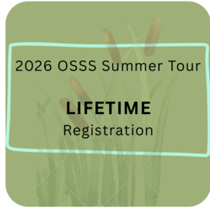 2026 Summer Tour Registration LIFETIME